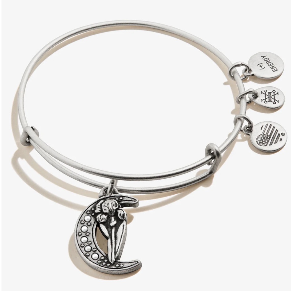 NWT Alex and Ani Moon and Iris bracelet in Silver